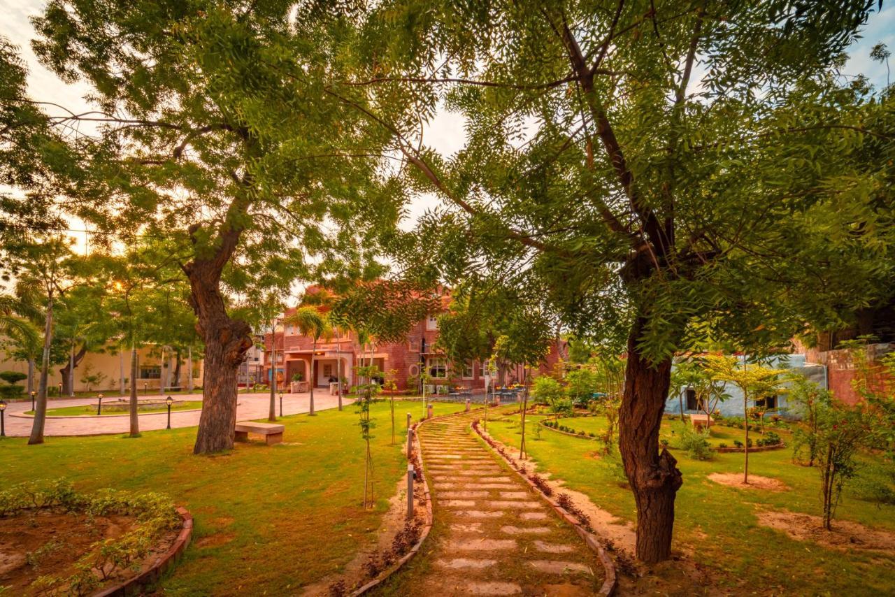 Tree Of Life Bhadrajun House, Jodhpur Hotell Jodhpur  Eksteriør bilde